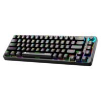 ASA KeyBoard Score Wireless65