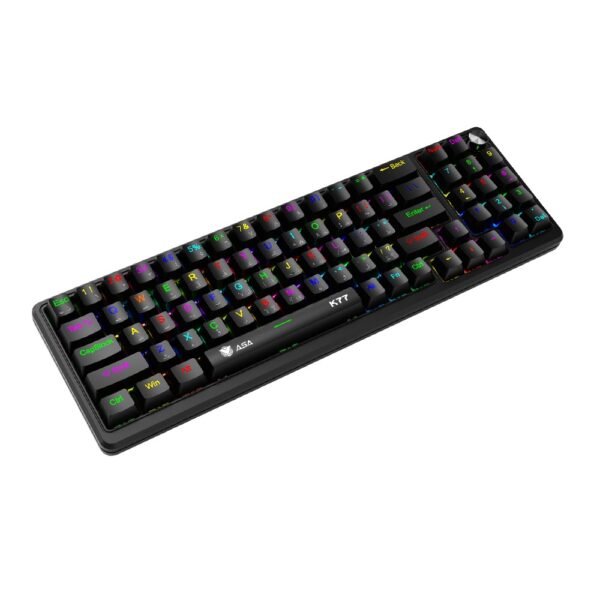 ASA Keyboard K77