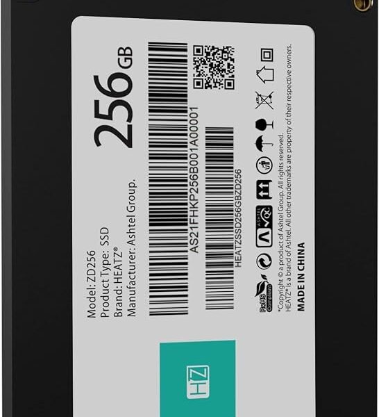 SSD 256GB Heatz