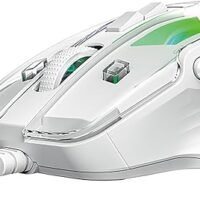 XT-GM-319 MOUSE2_